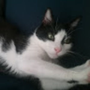 Meet your Posher, Ej